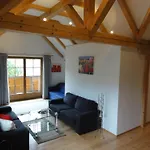 Apartment Planai
